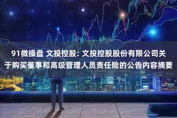 91微操盘 文投控股: 文投控股股份有限公司关于购买董事和高级管理人员责任险的公告内容摘要