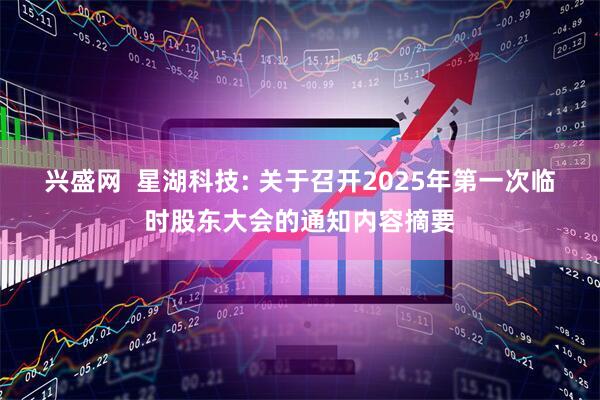 兴盛网  星湖科技: 关于召开2025年第一次临时股东大会的通知内容摘要