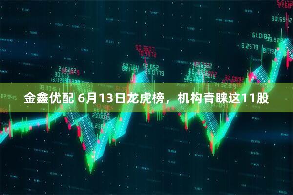 金鑫优配 6月13日龙虎榜，机构青睐这11股