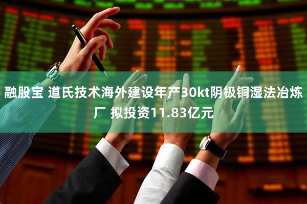 融股宝 道氏技术海外建设年产30kt阴极铜湿法冶炼厂 拟投资11.83亿元