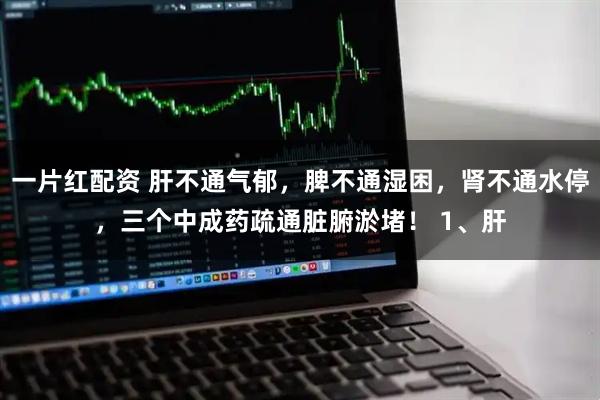一片红配资 肝不通气郁，脾不通湿困，肾不通水停，三个中成药疏通脏腑淤堵！ 1、肝